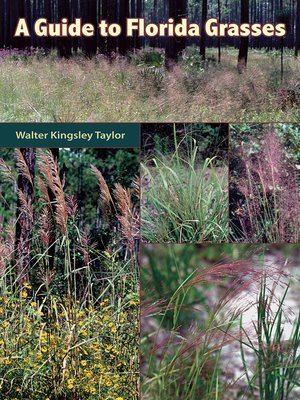 cover image of A Guide to Florida Grasses